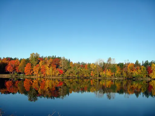 Lac en automne (2008) Lac en automne (2008)