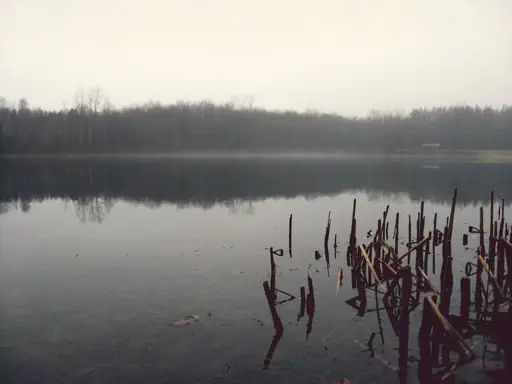 Lac brumeux (2009) Lac brumeux (2009)