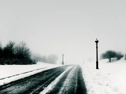 Brume d'hiver (2010) Brume d'hiver (2010)