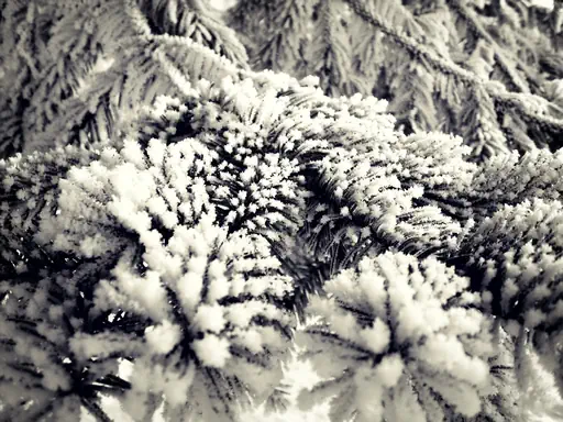 Lendemain de blizzard I (2012) Lendemain de blizzard I (2012)