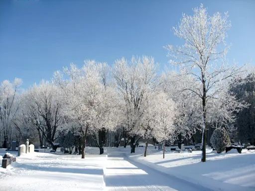 Lendemain de blizzard II (2012) Lendemain de blizzard II (2012)