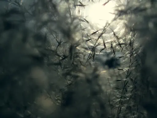 Trouée (2013) Trouée (2013)