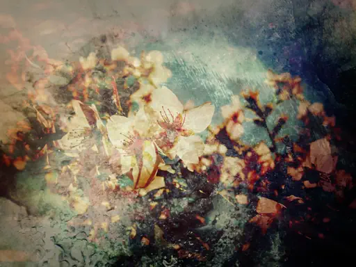 Floraison (2014) Floraison (2014)