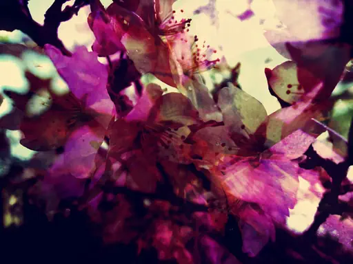 Composition 5657 (2015) Composition 5657 (2015)
