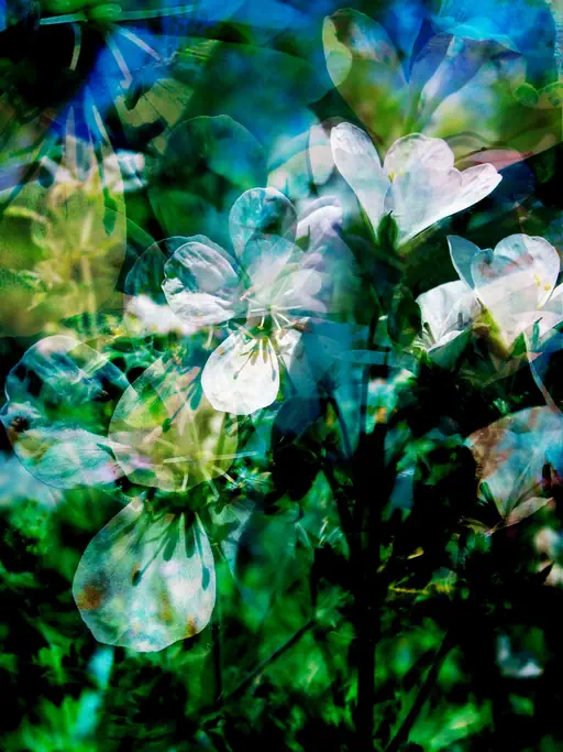 Composition 6286 (2016) Composition 6286 (2016)