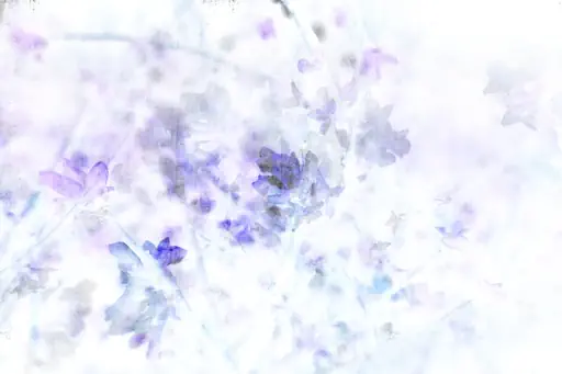 Pousses printanières effet bleu (2017) Pousses printanières effet bleu (2017)