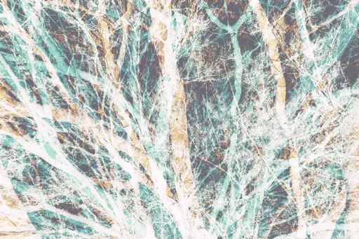 Branches polychromes (2018) Branches polychromes (2018)